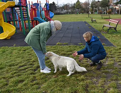 Besuche hundefreundlicher Sehenswurdigkeiten
