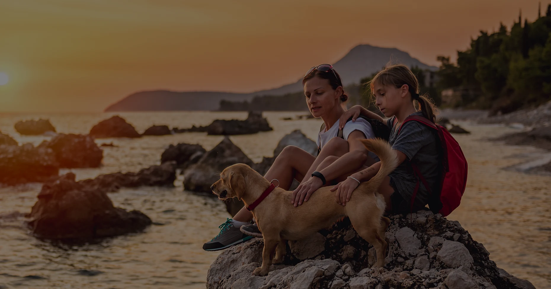 Mit dem Hund in den Urlaub fahren