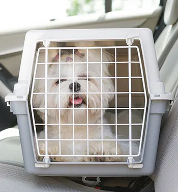 Transportboxen